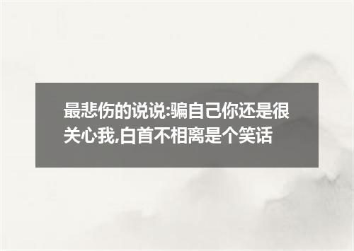 最悲伤的说说:骗自己你还是很关心我,白首不相离是个笑话