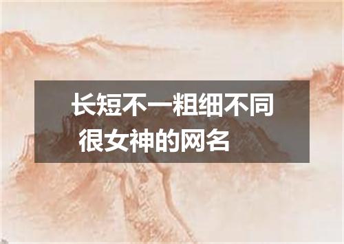 长短不一粗细不同 很女神的网名