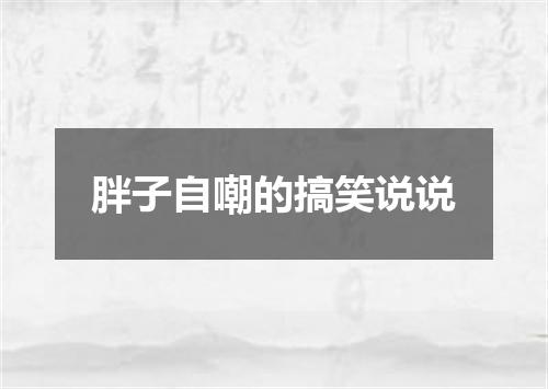 胖子自嘲的搞笑说说