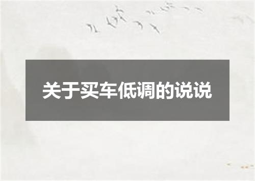 关于买车低调的说说