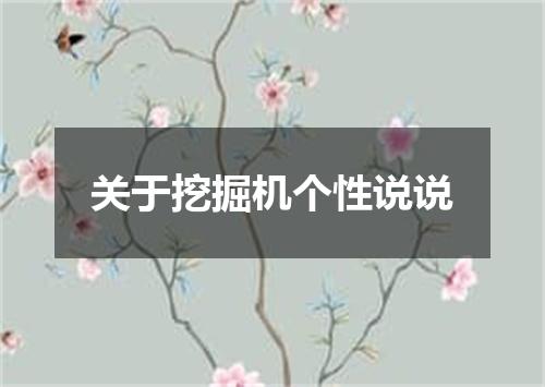 关于挖掘机个性说说