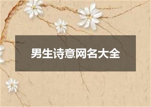 男生诗意网名大全
