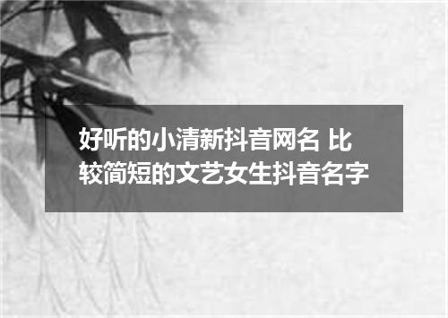 好听的小清新抖音网名 比较简短的文艺女生抖音名字