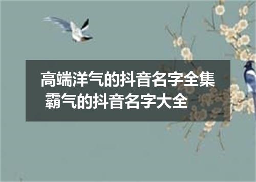 高端洋气的抖音名字全集 霸气的抖音名字大全