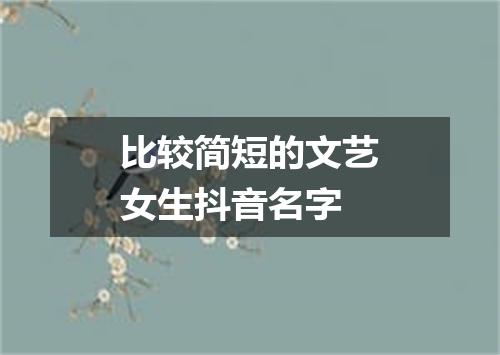 比较简短的文艺女生抖音名字
