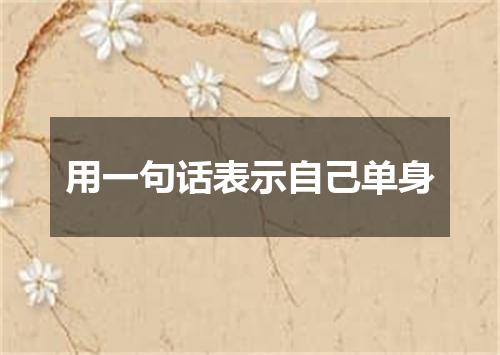 用一句话表示自己单身