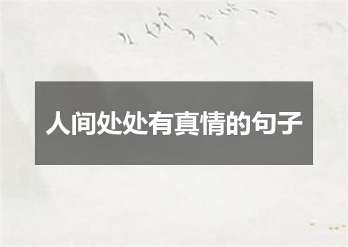 人间处处有真情的句子