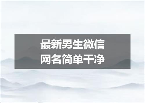 最新男生微信网名简单干净