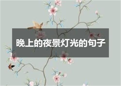 晚上的夜景灯光的句子
