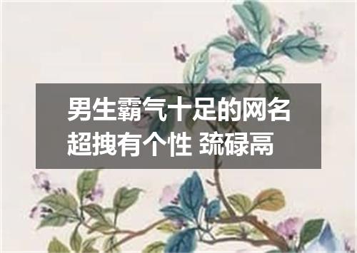 男生霸气十足的网名超拽有个性 巯碌鬲