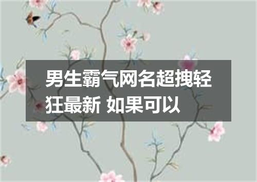 男生霸气网名超拽轻狂最新 如果可以