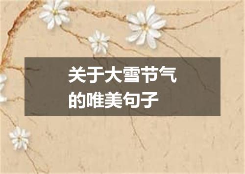 关于大雪节气的唯美句子
