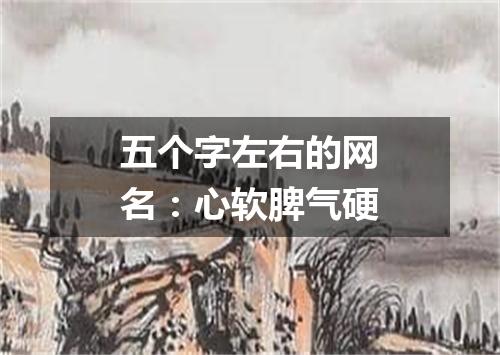 五个字左右的网名：心软脾气硬