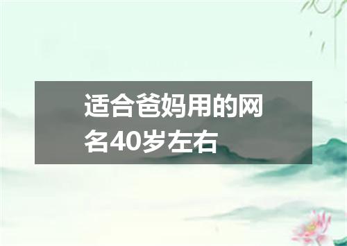 适合爸妈用的网名40岁左右