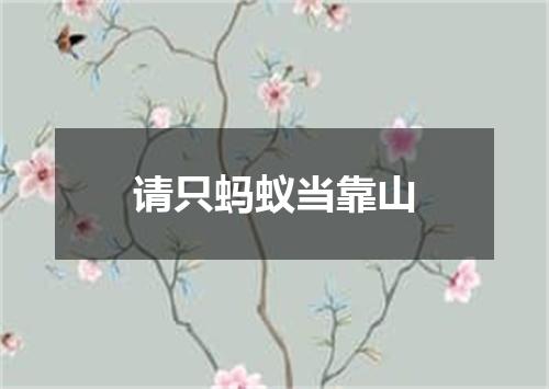 请只蚂蚁当靠山