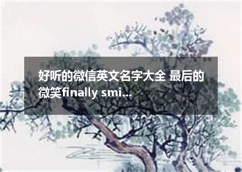 好听的微信英文名字大全 最后的微笑finally smile