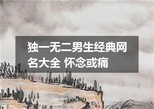 独一无二男生经典网名大全 怀念或痛