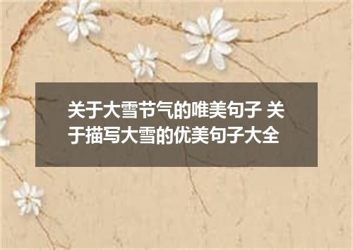 关于大雪节气的唯美句子 关于描写大雪的优美句子大全
