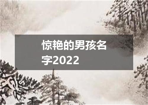 惊艳的男孩名字2022