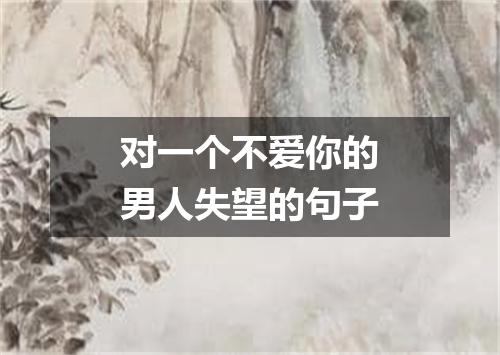 对一个不爱你的男人失望的句子