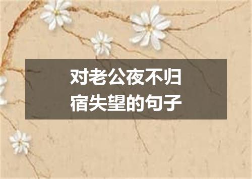 对老公夜不归宿失望的句子