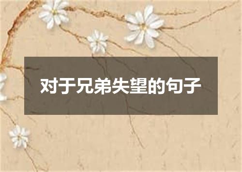 对于兄弟失望的句子