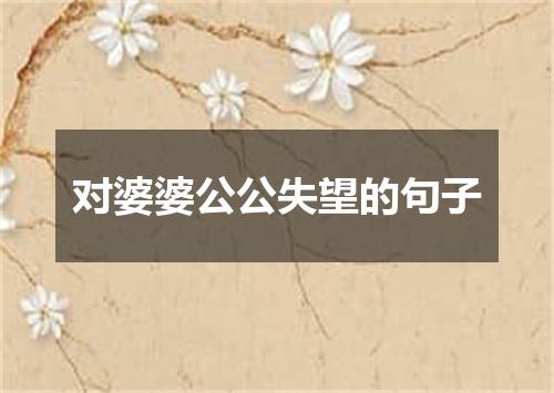 对婆婆公公失望的句子