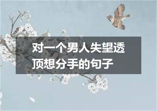 对一个男人失望透顶想分手的句子