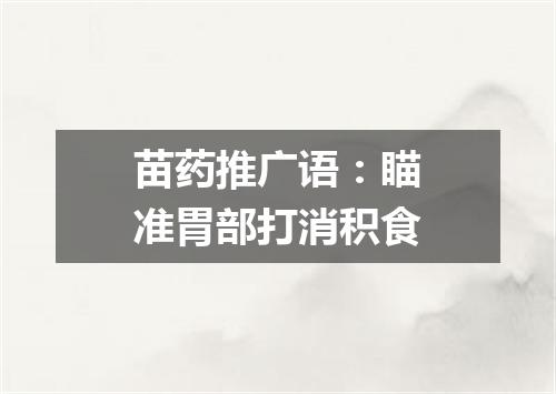 苗药推广语：瞄准胃部打消积食