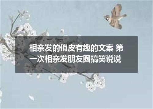 相亲发的俏皮有趣的文案 第一次相亲发朋友圈搞笑说说