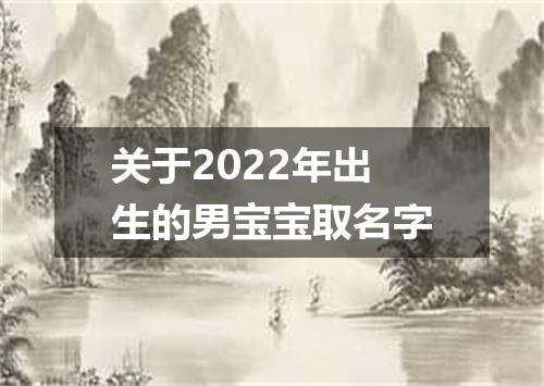 关于2022年出生的男宝宝取名字