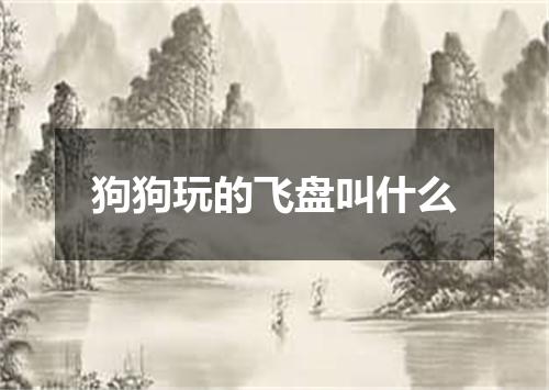 狗狗玩的飞盘叫什么