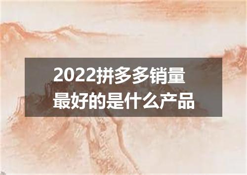2022拼多多销量最好的是什么产品