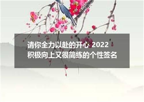 请你全力以赴的开心 2022积极向上又很简练的个性签名