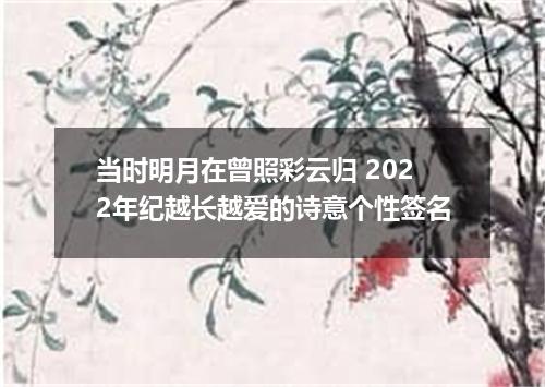 当时明月在曾照彩云归 2022年纪越长越爱的诗意个性签名