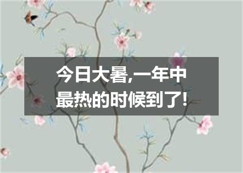 今日大暑,一年中最热的时候到了!