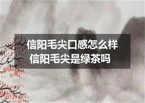 信阳毛尖口感怎么样 信阳毛尖是绿茶吗