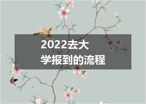 2022去大学报到的流程