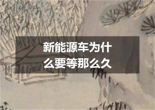 新能源车为什么要等那么久