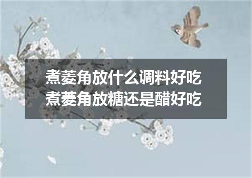 煮菱角放什么调料好吃 煮菱角放糖还是醋好吃