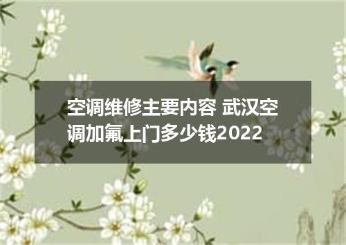 空调维修主要内容 武汉空调加氟上门多少钱2022