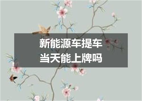 新能源车提车当天能上牌吗