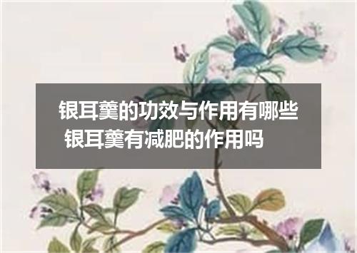 银耳羹的功效与作用有哪些 银耳羹有减肥的作用吗