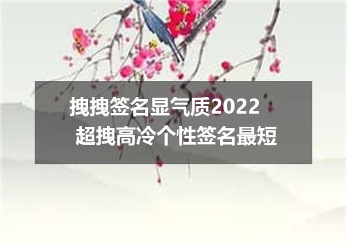 拽拽签名显气质2022 超拽高冷个性签名最短