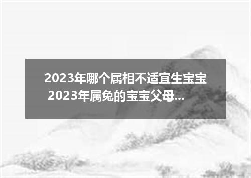 2023年哪个属相不适宜生宝宝 2023年属兔的宝宝父母属什么好