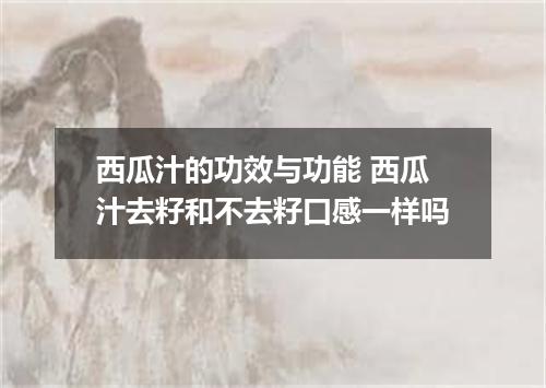 西瓜汁的功效与功能 西瓜汁去籽和不去籽口感一样吗