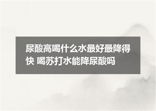 尿酸高喝什么水最好最降得快 喝苏打水能降尿酸吗