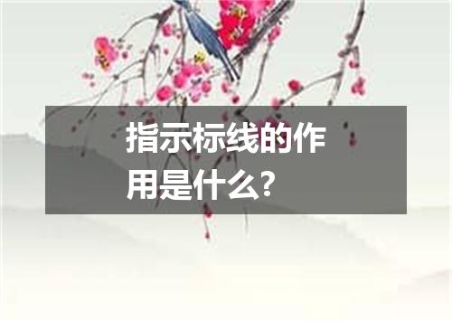 指示标线的作用是什么?