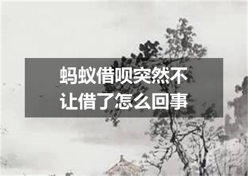 蚂蚁借呗突然不让借了怎么回事