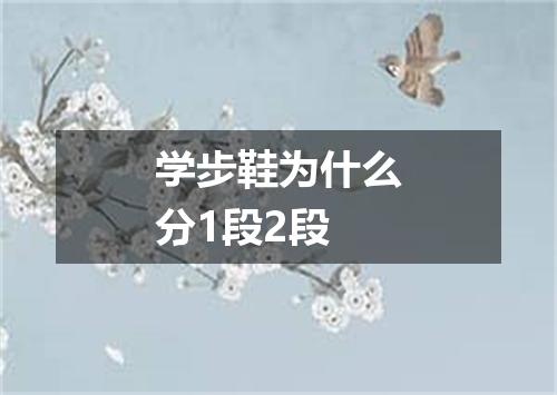 学步鞋为什么分1段2段